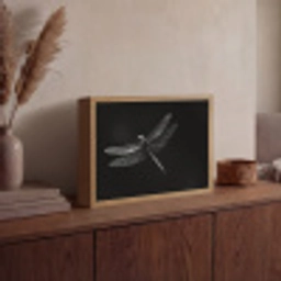 Libelle - Dieren - Zwart - Insect Light Box met batterij (Wandlamp) middel -sfeer2