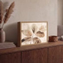 Gedroogde plant - Natuur - Bruin - Planten Light Box met batterij (Wandlamp) middel -sfeer2