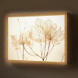 Droogbloemen - Beige - Planten - Wit Light Box met batterij (Wandlamp) middel -z3d_website