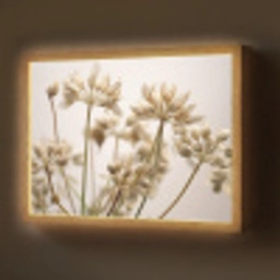 Droogbloemen - Beige - Wit - Planten Light Box met batterij (Wandlamp) middel -z3d_website