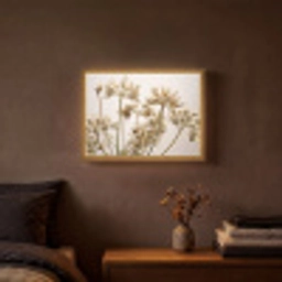 Droogbloemen - Beige - Wit - Planten Light Box met batterij (Wandlamp) middel -sfeer4