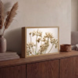 Droogbloemen - Beige - Wit - Planten Light Box met batterij (Wandlamp) middel -sfeer2