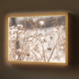 Droogbloemen - Wit - Planten Light Box met batterij (Wandlamp) middel -z3d_website