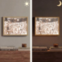Droogbloemen - Wit - Planten Light Box met batterij (Wandlamp) middel -sfeer3