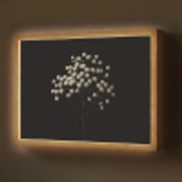 Gipskruid - Bloemetjes - Wit - Minimalistisch Light Box met batterij (Wandlamp) middel -z3d_website