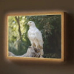 Arend - Hout - Wit - Planten Light Box met batterij (Wandlamp) middel -z3d_website