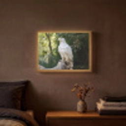 Arend - Hout - Wit - Planten Light Box met batterij (Wandlamp) middel -sfeer4