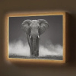 Olifant - Zwart - Wit - Rook Light Box met batterij (Wandlamp) middel -z3d_website