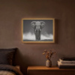 Olifant - Zwart - Wit - Rook Light Box met batterij (Wandlamp) middel -sfeer4