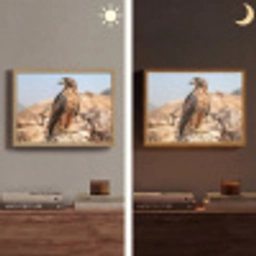 Valk - Vogel - Rots - Macht Light Box met batterij (Wandlamp) middel -sfeer3