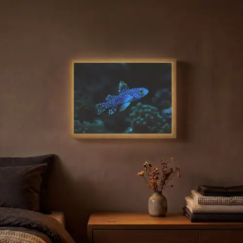 Vis - Stippen - Koraal - Blauw Light Box met batterij (Wandlamp) middel -sfeer4