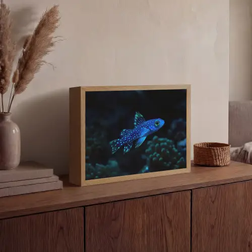 Vis - Stippen - Koraal - Blauw Light Box met batterij (Wandlamp) middel -sfeer2