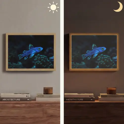Vis - Stippen - Koraal - Blauw Light Box met batterij (Wandlamp) middel -sfeer3