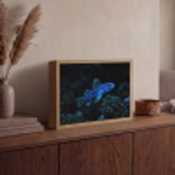Vis - Stippen - Koraal - Blauw Light Box met batterij (Wandlamp) middel -sfeer2