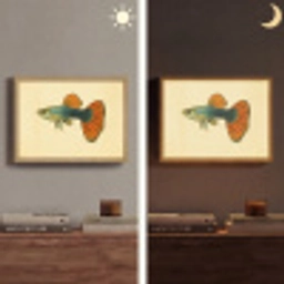 Vis - illustratie - Stippen - Oranje Light Box met batterij (Wandlamp) middel -sfeer3