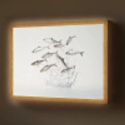 Vissen - Water - Wit Light Box met batterij (Wandlamp) middel -z3d_website