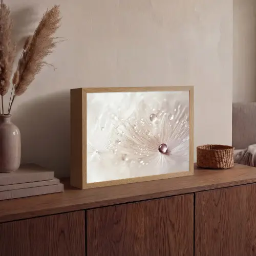 Bloem - Abstract - Wit - Water - Natuur Light Box met batterij (Wandlamp) middel -sfeer2