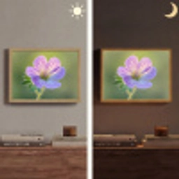 Bloem - Close up - Paars Light Box met batterij (Wandlamp) middel -sfeer3