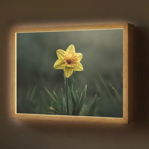 Bloem - Narcis - Gras - Geel Light Box met batterij (Wandlamp) middel -z3d_website