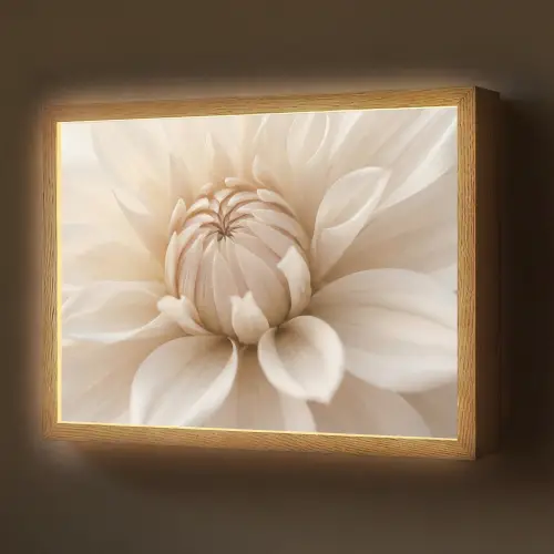 Bloem - Dahlia - Wit Light Box met batterij (Wandlamp) middel -z3d_website