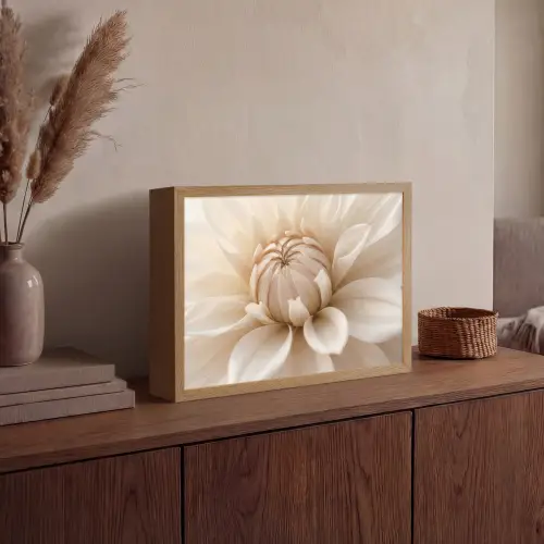 Bloem - Dahlia - Wit Light Box met batterij (Wandlamp) middel -sfeer2
