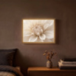 Bloem - Dahlia - Wit Light Box met batterij (Wandlamp) middel -sfeer4