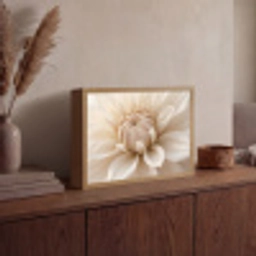 Bloem - Dahlia - Wit Light Box met batterij (Wandlamp) middel -sfeer2
