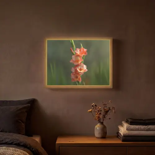 Bloem - Gladiolen - Zalmroze Light Box met batterij (Wandlamp) middel -sfeer4