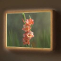 Bloem - Gladiolen - Zalmroze Light Box met batterij (Wandlamp) middel -z3d_website