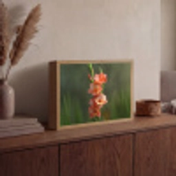 Bloem - Gladiolen - Zalmroze Light Box met batterij (Wandlamp) middel -sfeer2