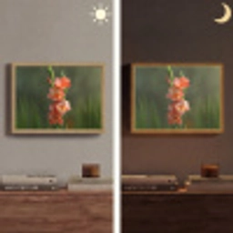 Bloem - Gladiolen - Zalmroze Light Box met batterij (Wandlamp) middel -sfeer3