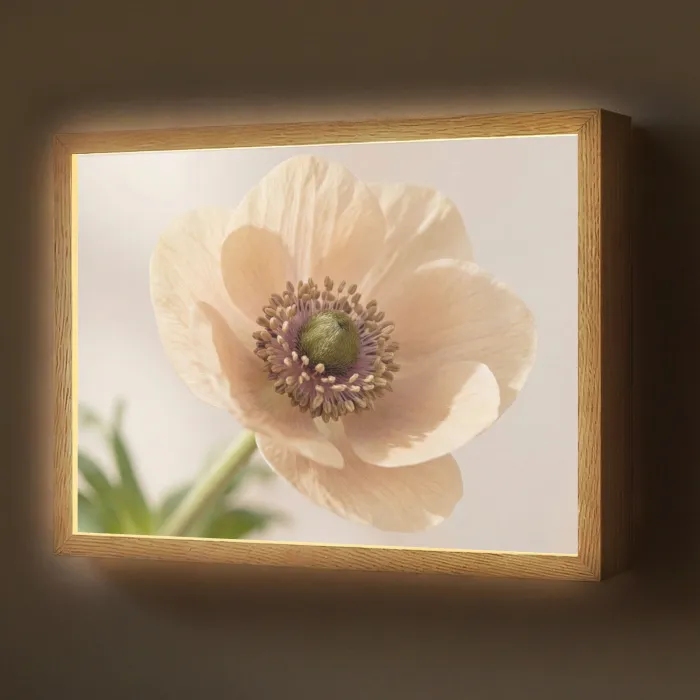 Bloem - Minimalistisch - Groen Light Box met batterij (Wandlamp) middel -z3d_website