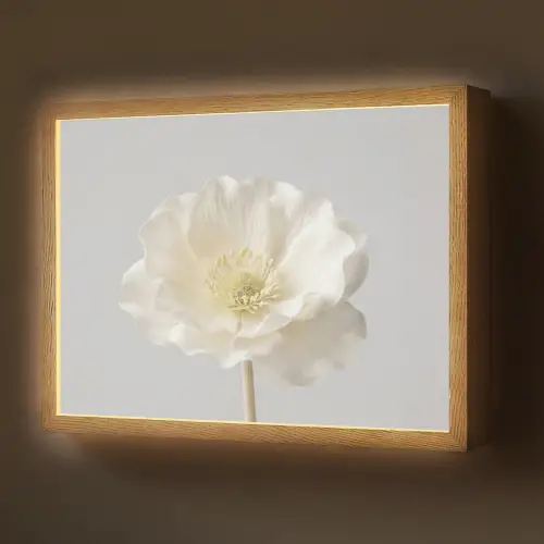 Bloem - Minimalistisch -Wit Light Box met batterij (Wandlamp) middel -z3d_website