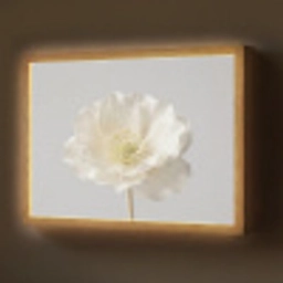 Bloem - Minimalistisch -Wit Light Box met batterij (Wandlamp) middel -z3d_website