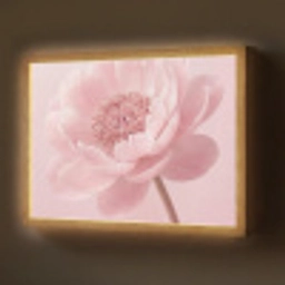 Bloem - Pioenroos - Roze Light Box met batterij (Wandlamp) middel -z3d_website