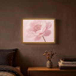 Bloem - Pioenroos - Roze Light Box met batterij (Wandlamp) middel -sfeer4