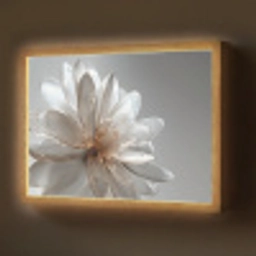Bloem - Wit - Neutraal Light Box met batterij (Wandlamp) middel -z3d_website