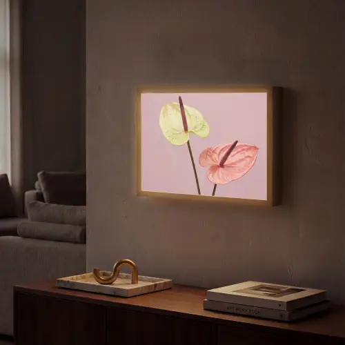 Bloemen - Anthuriums - Geel - Roze Light Box met batterij (Wandlamp) middel -sfeer1