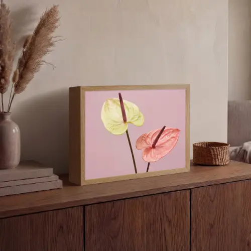 Bloemen - Anthuriums - Geel - Roze Light Box met batterij (Wandlamp) middel -sfeer2