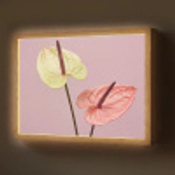Bloemen - Anthuriums - Geel - Roze Light Box met batterij (Wandlamp) middel -z3d_website