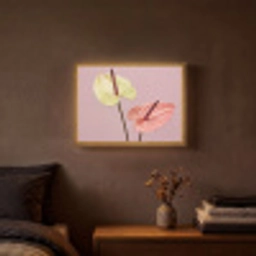 Bloemen - Anthuriums - Geel - Roze Light Box met batterij (Wandlamp) middel -sfeer4