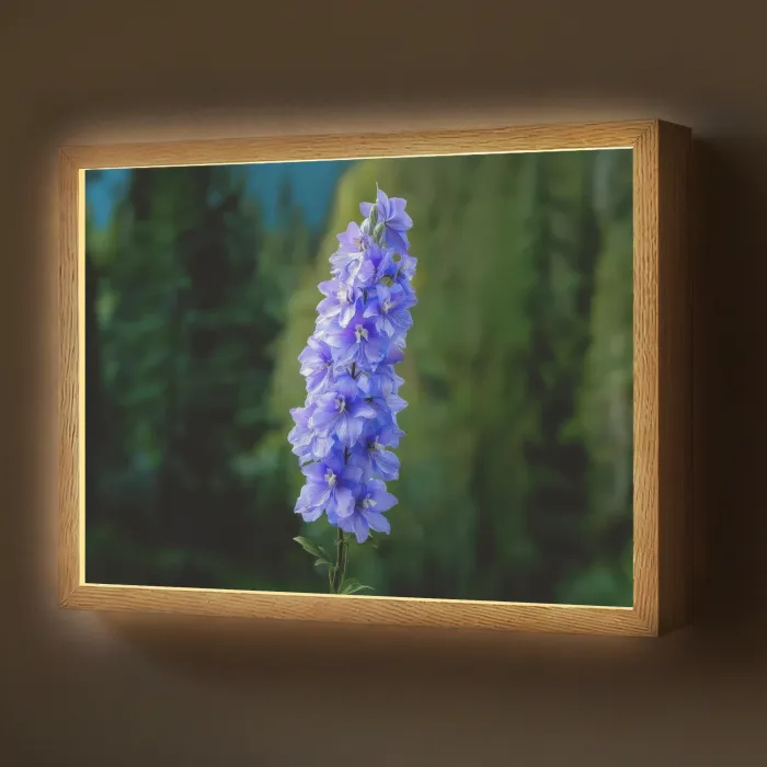 Bloemen - Blauw - Dennenboom Light Box met batterij (Wandlamp) middel -z3d_website