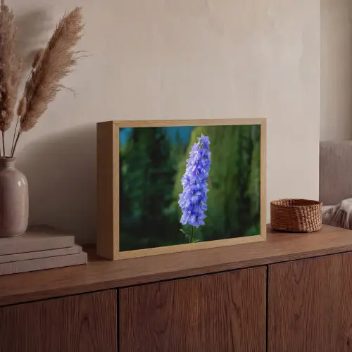 Bloemen - Blauw - Dennenboom Light Box met batterij (Wandlamp) middel -sfeer2
