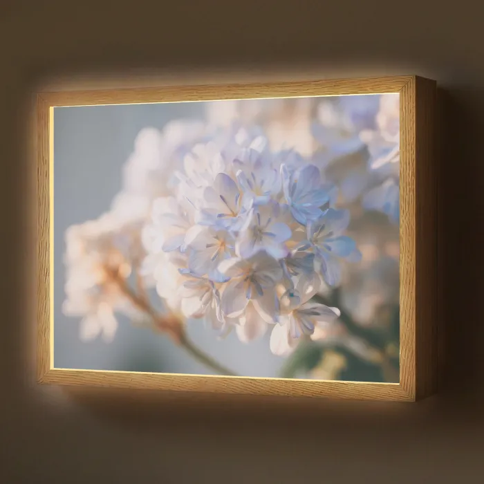 Bloemen - Lichtblauw - Wazig - Trosje Light Box met batterij (Wandlamp) middel -z3d_website