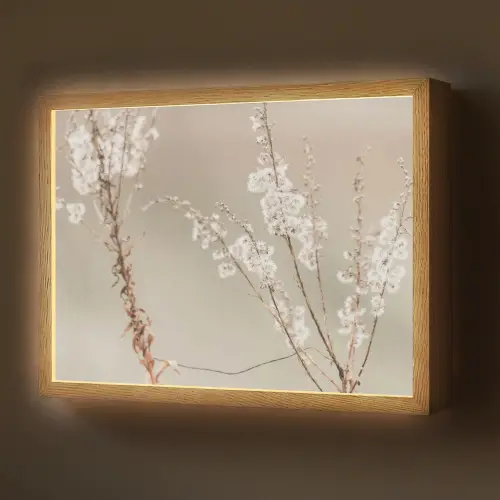 Bloemen - Wit - Planten Light Box met batterij (Wandlamp) middel -z3d_website