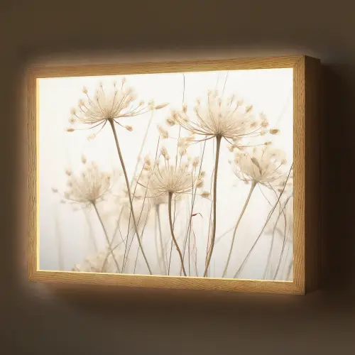 Bloemen - Wit - Zonlicht Light Box met batterij (Wandlamp) middel -z3d_website