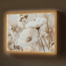 Bloemen - Winter - Wit - Sneeuw - Beige Light Box met batterij (Wandlamp) middel -z3d_website