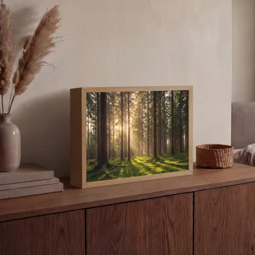 Bos - Gras - Zonlicht Light Box met batterij (Wandlamp) middel -sfeer2