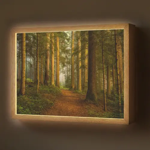 Bos - Natuur - Bomen - Landschap - Bladeren Light Box met batterij (Wandlamp) middel -z3d_website