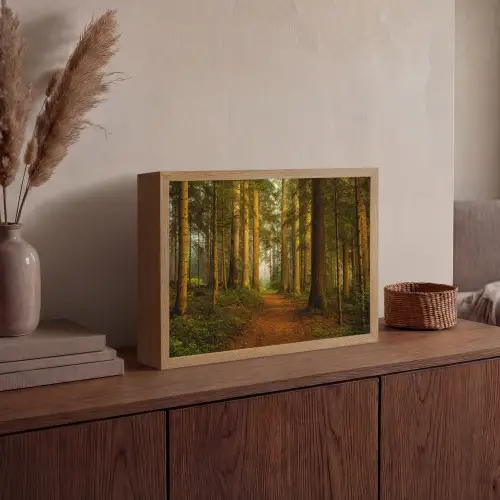 Bos - Natuur - Bomen - Landschap - Bladeren Light Box met batterij (Wandlamp) middel -sfeer2